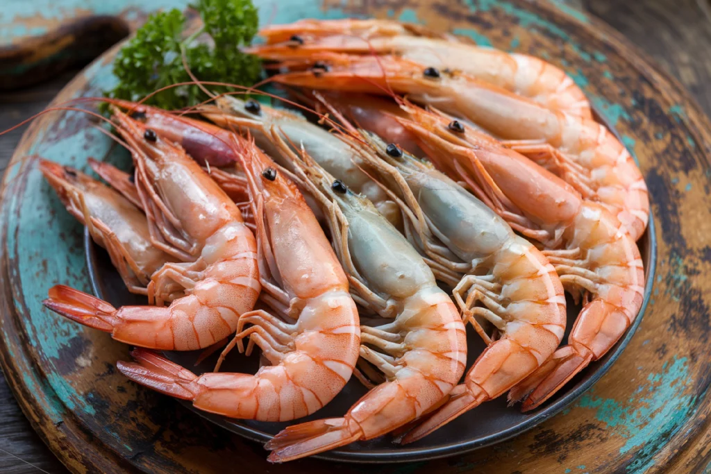 What is the difference between Argentinian shrimp and regular shrimp