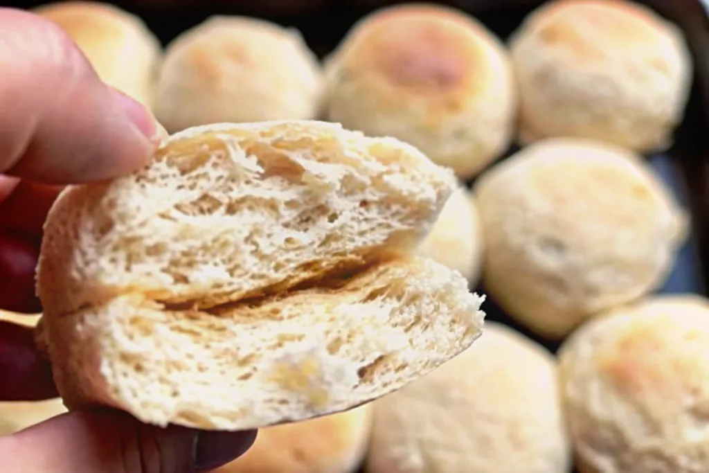 Soft Sourdough Dinner Rolls
